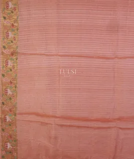 peachtussar-embroidery-saree-t669151-t669151-c