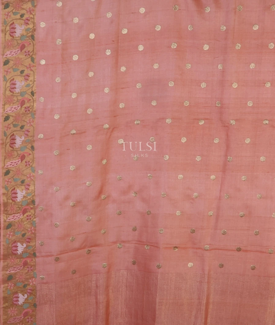peachtussar-embroidery-saree-t669151-t669151-d
