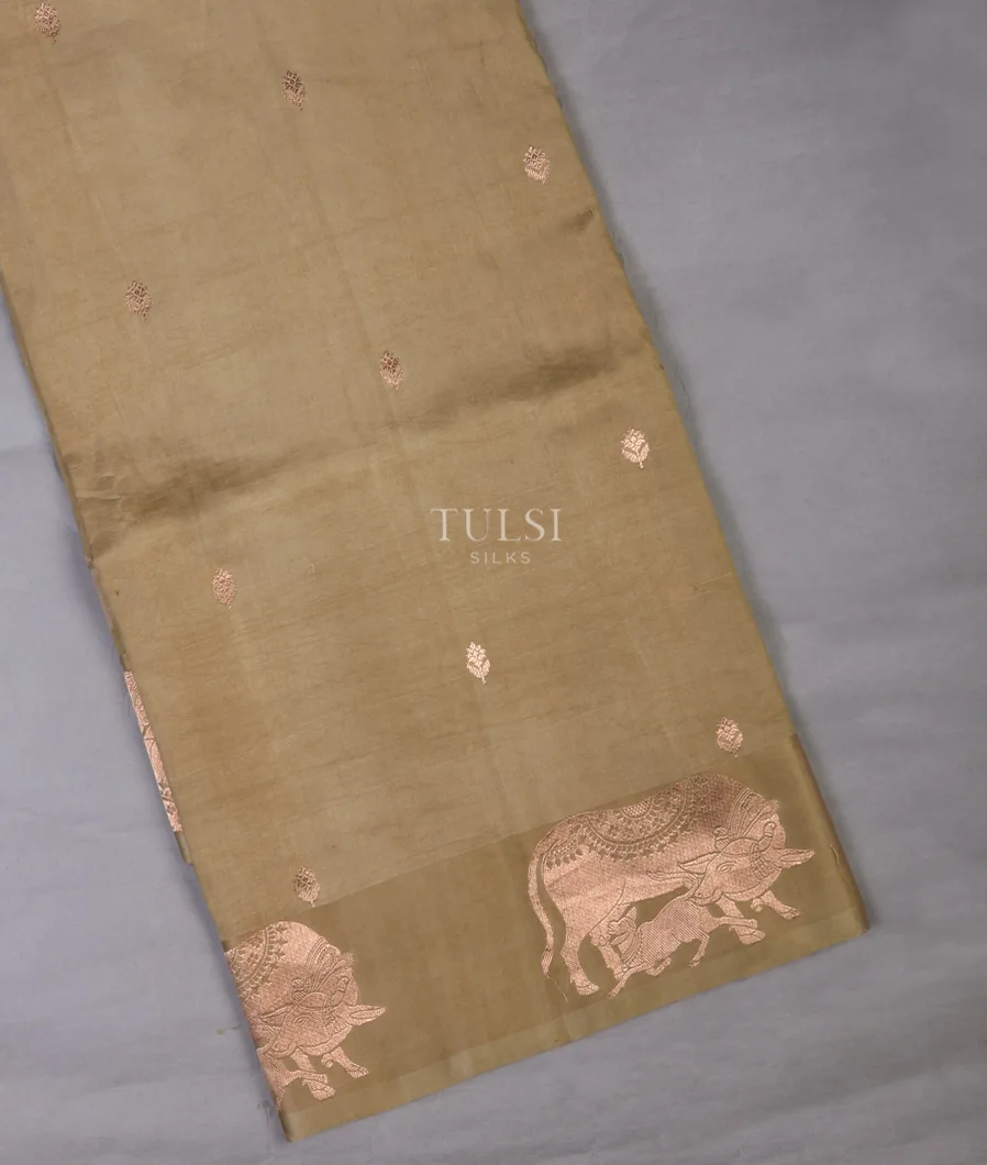 Dark Beige Banaras Silk Saree T653806-image