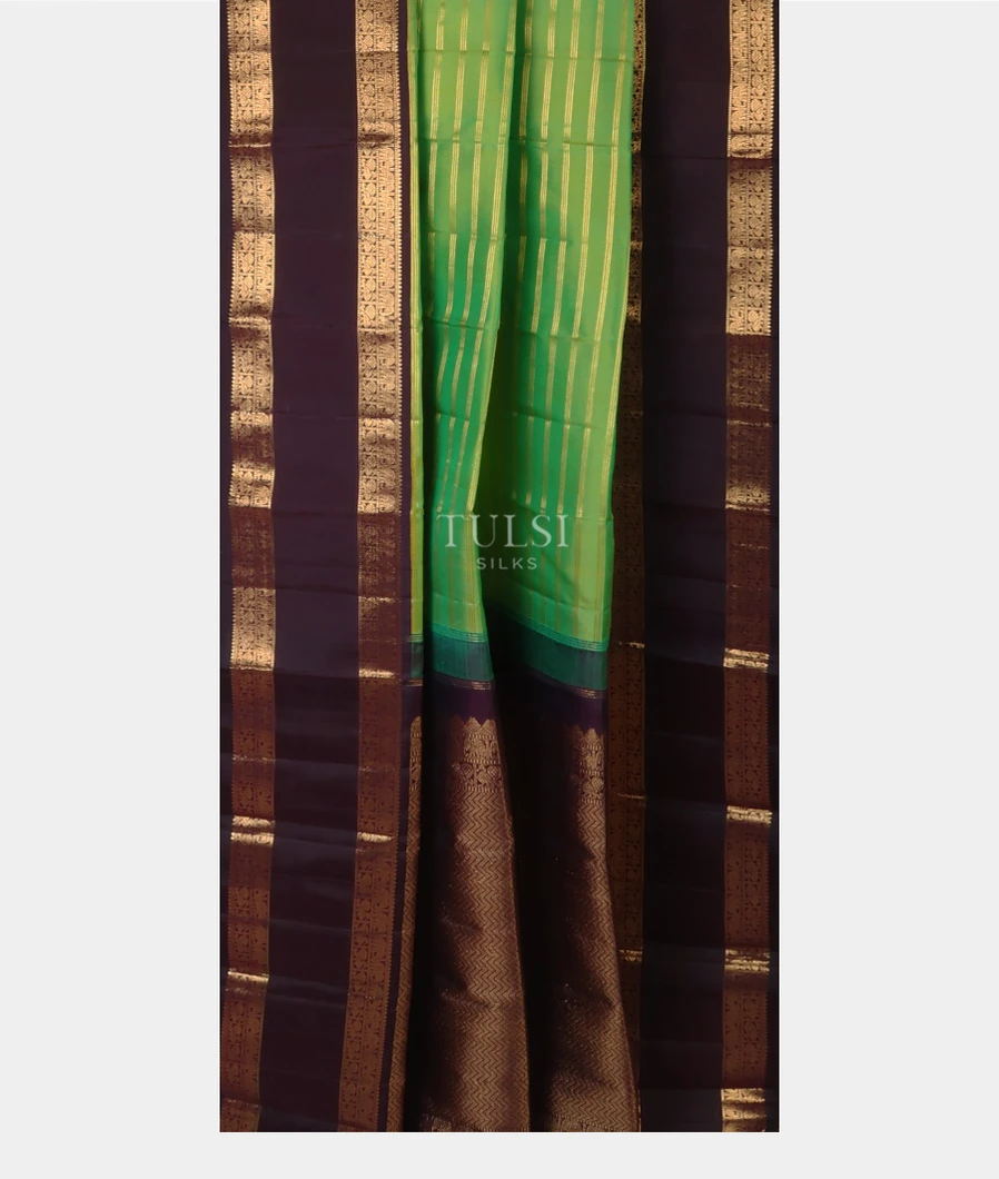 yellowish-green-handwoven-kanjivaram-silk-saree-t680626-t680626-b