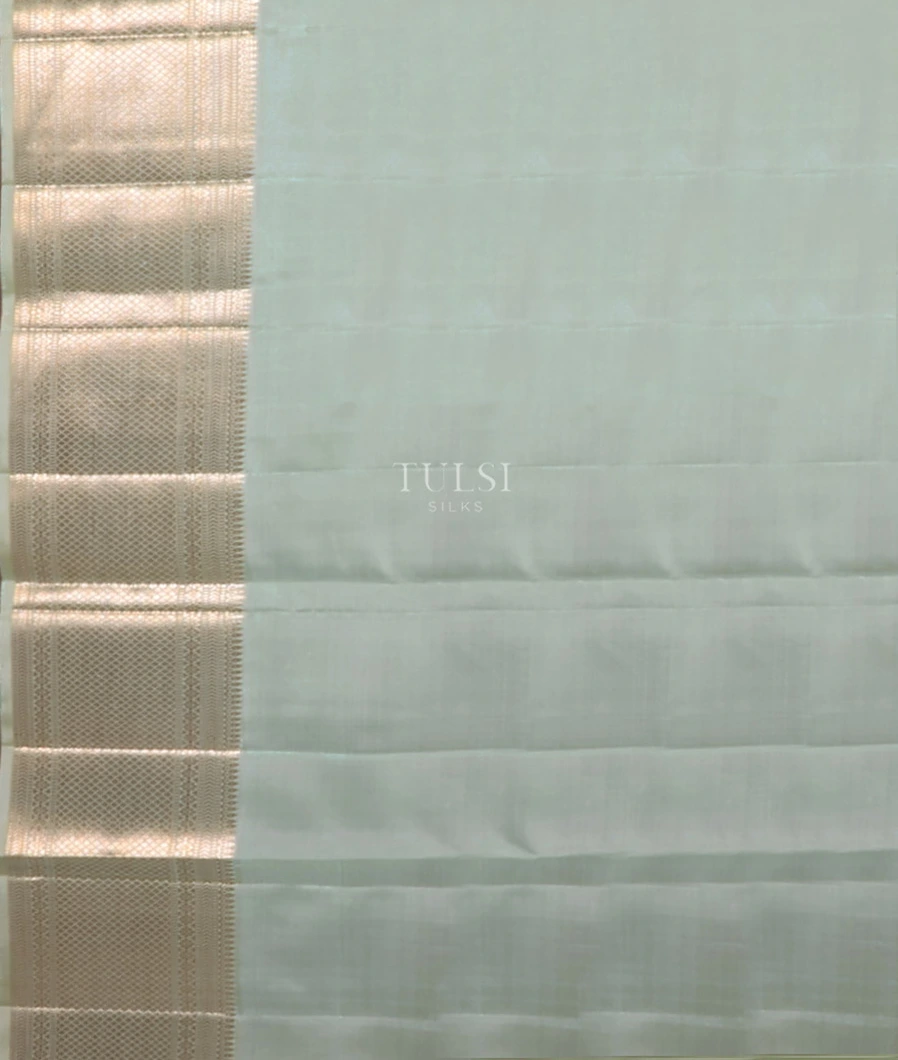 light-green-handwoven-kanjivaram-silk-saree-t680021-t680021-c