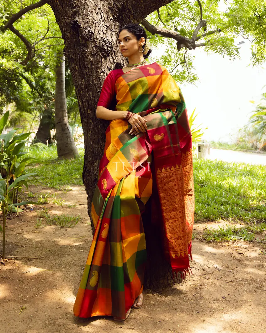 multicolour-kanjivaram-silk-saree-t679033-t679033-b