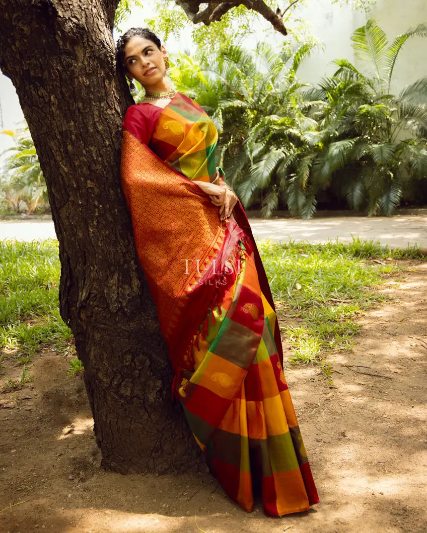 multicolour-kanjivaram-silk-saree-t679033-t679033-c