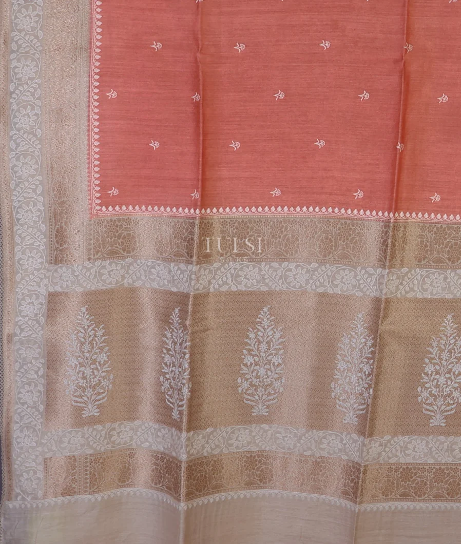 peach-tussar-embroidery-saree-t685835-t685835-d