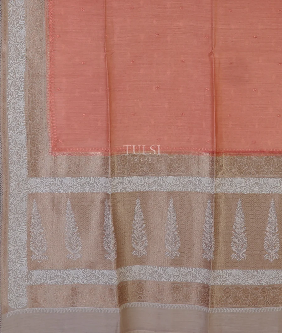 peach-tussar-embroidery-saree-t685845-t685845-d