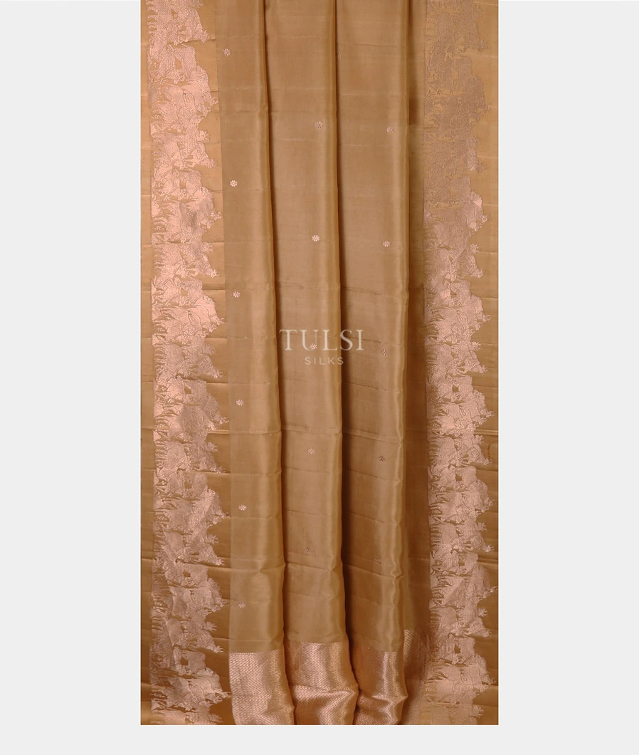 dark-beige-banaras-silk-saree-t678099-t678099-b