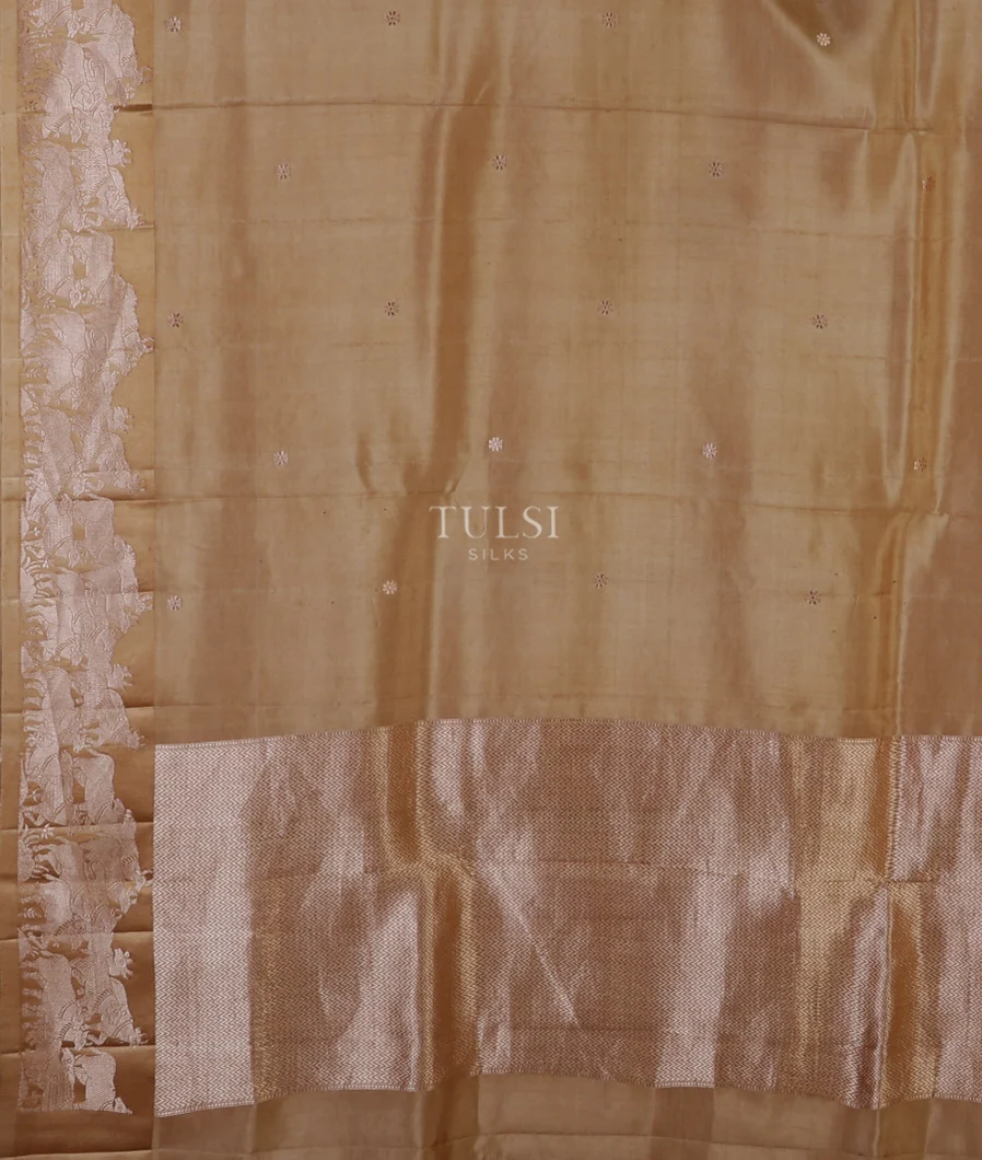 dark-beige-banaras-silk-saree-t678099-t678099-d