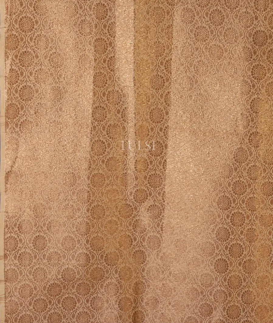 green-kora-organza-embroidery-saree-t681441-t681441-c