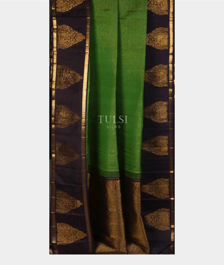 green-kanjivaram-silk-saree-t683398-t683398-b