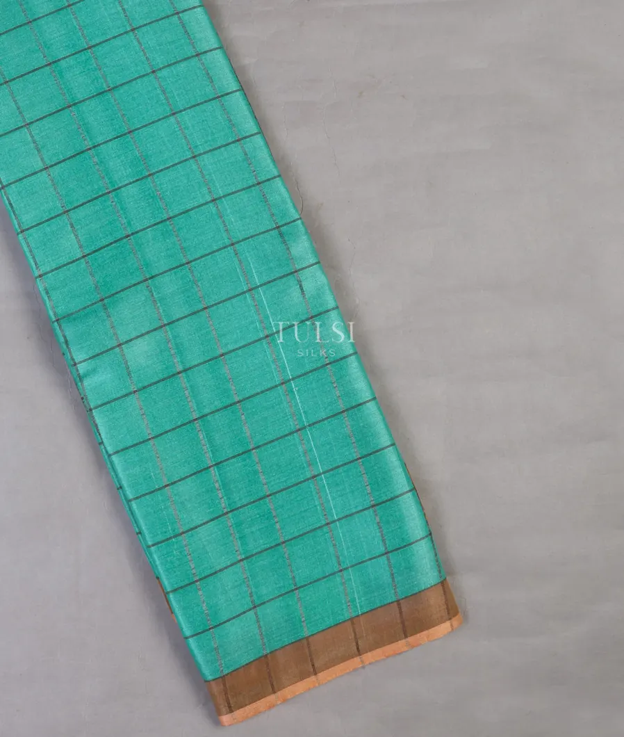 Blue Woven Tussar Saree T670182-image