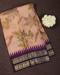 pinkish-beige-gadwal-silk-saree-t686877-t686877-a