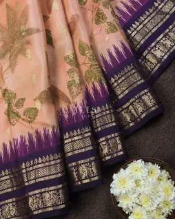 pinkish-beige-gadwal-silk-saree-t686877-t686877-b