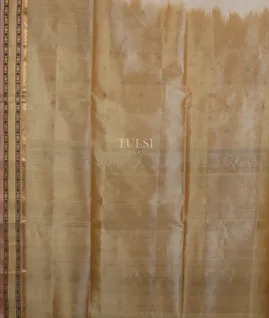 beige-silk-cotton-saree-t682716-t682716-c
