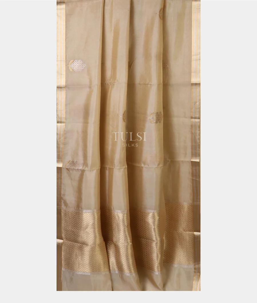 beige-banaras-kathan-tissue-silk-saree-t687072-t687072-b