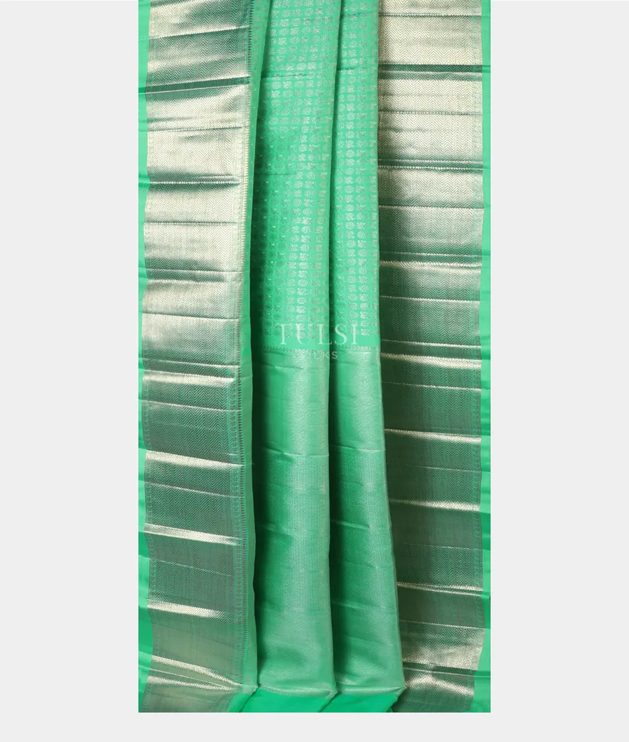 green-kanjivaram-silk-saree-t589299-t589299-b