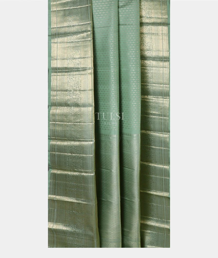greyish-green-kanjivaram-silk-saree-t658749-t658749-b