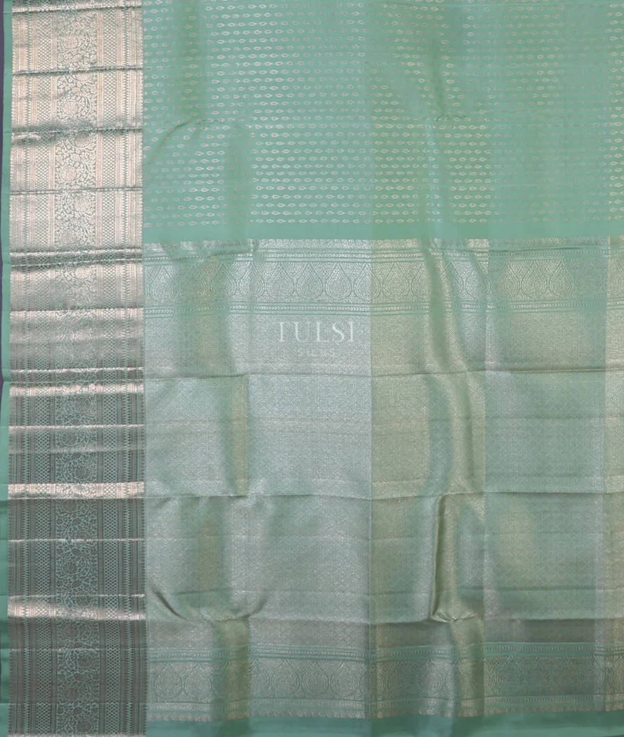 greyish-green-kanjivaram-silk-saree-t658749-t658749-d
