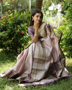 pinkish-grey-kanjivaram-silk-saree-t685332-t685332-e