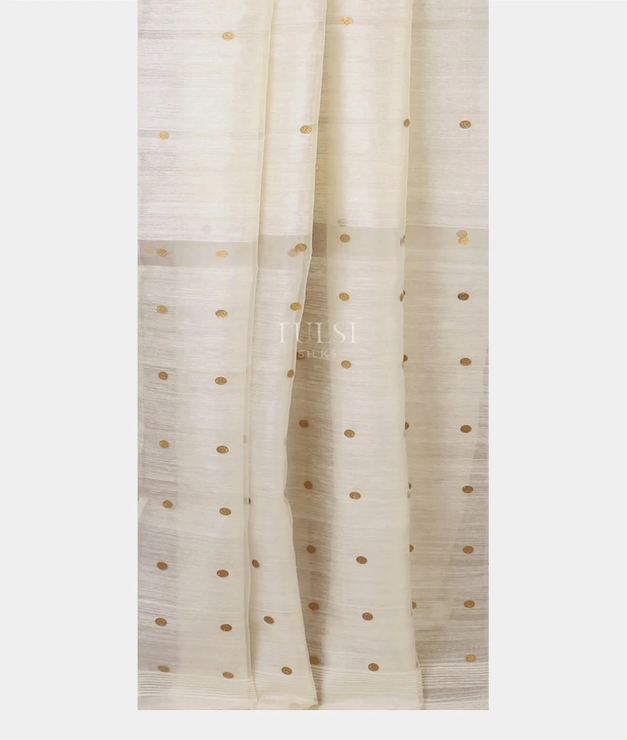 white-handwoven-tussar-saree-t690342-t690342-b