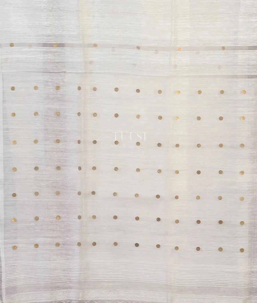 white-handwoven-tussar-saree-t690342-t690342-d