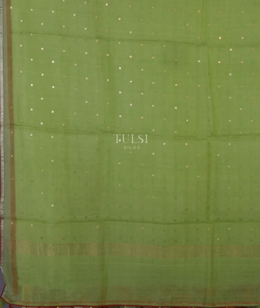 green-woven-organza-saree-t689647-t689647-d