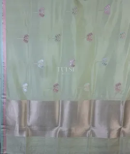 light-green-banaras-mashru-silk-saree-t686439-t686439-d