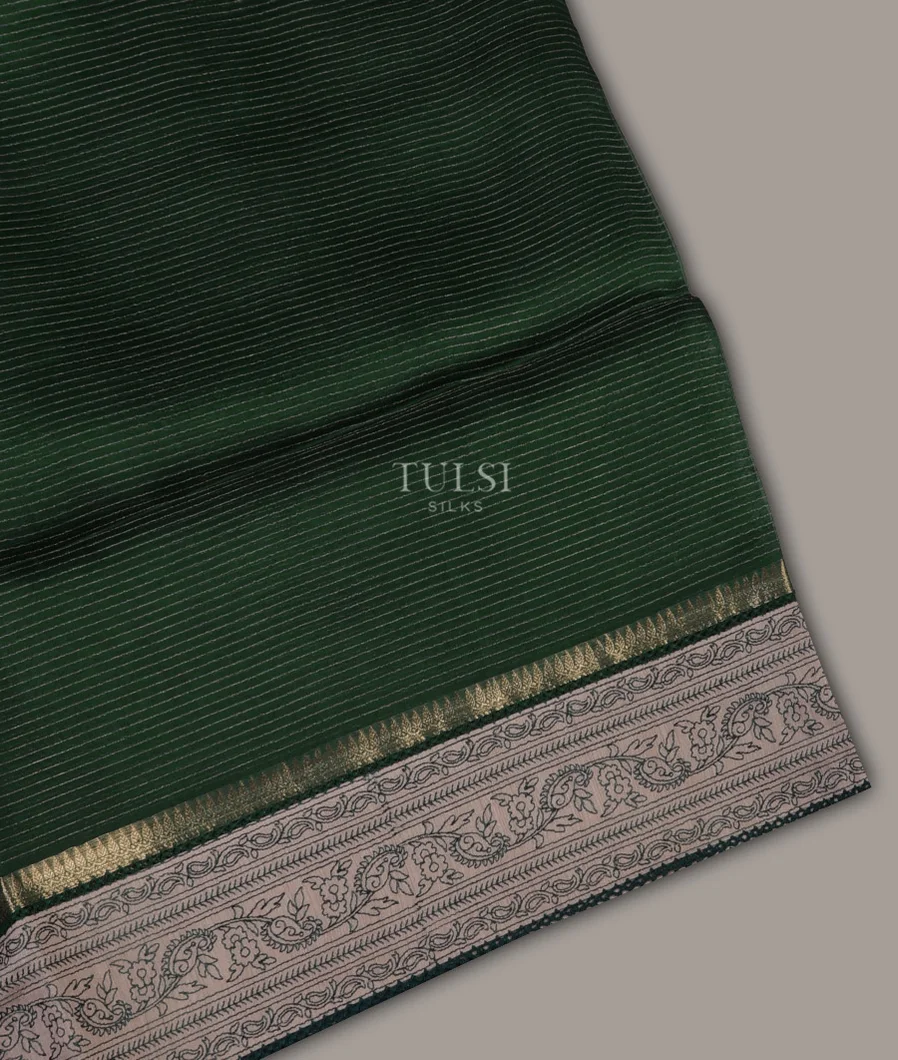Green Kora Organza Saree with Tussar Border and Pallu T691105-image