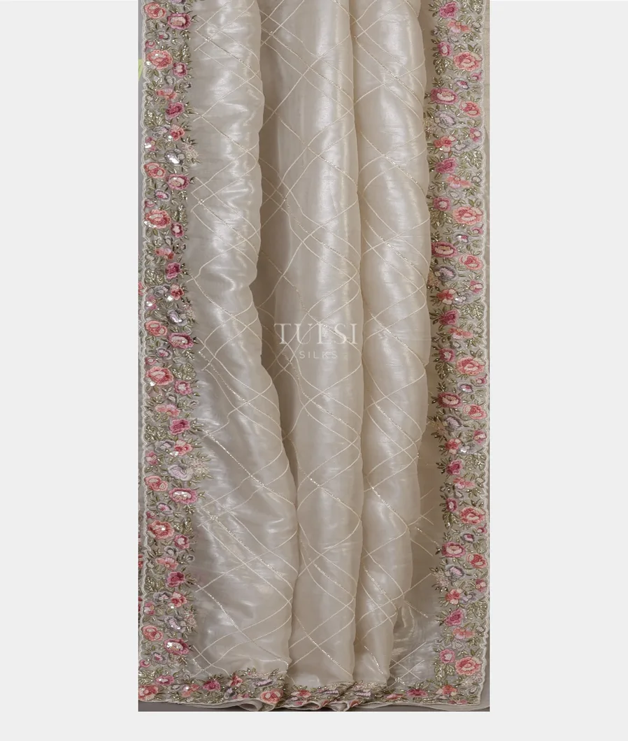 grey-kora-tissue-organza-embroidery-saree-t691361-t691361-b