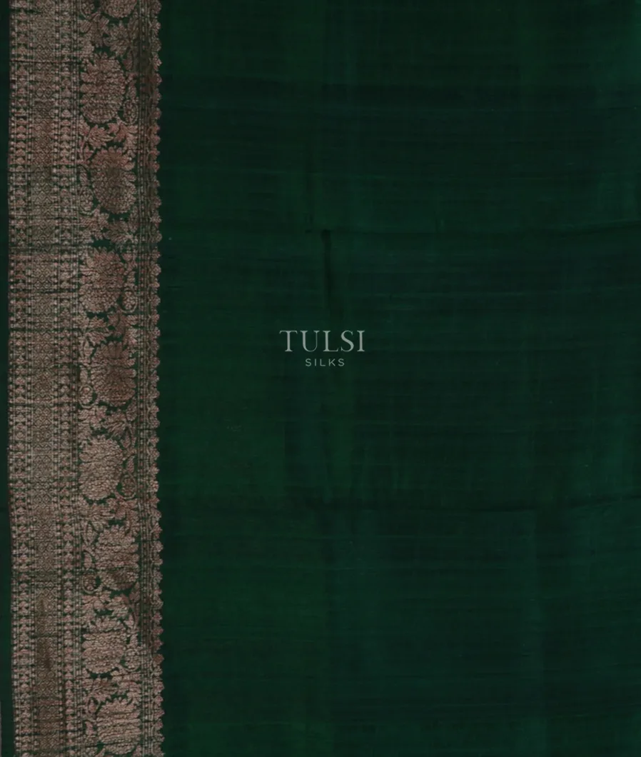 green-banaras-tussar-saree-t688111-t688111-c