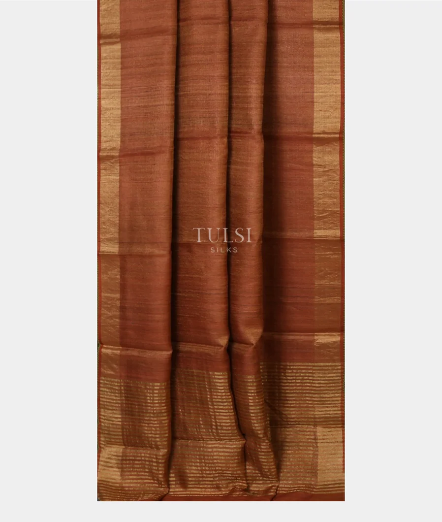 brown-tissue-woven-tussar-saree-t558938-t558938-b