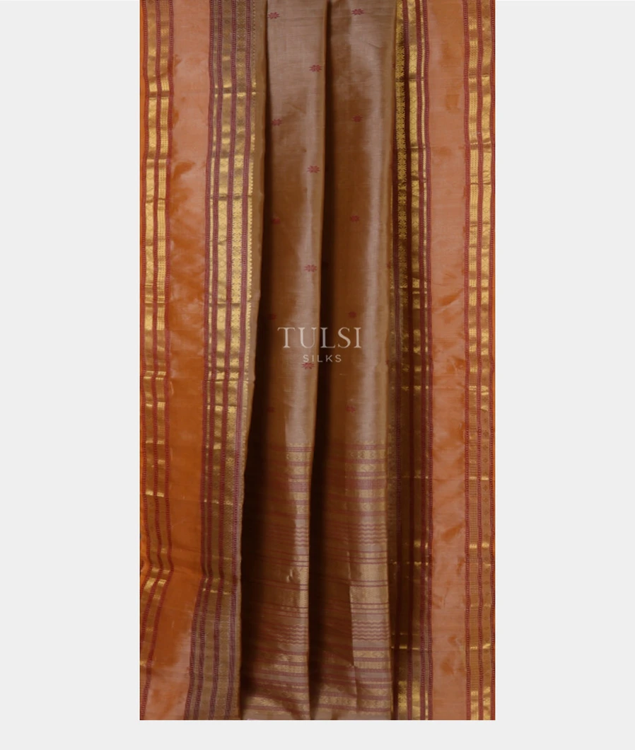 beige-silk-cotton-saree-t691629-691629-b