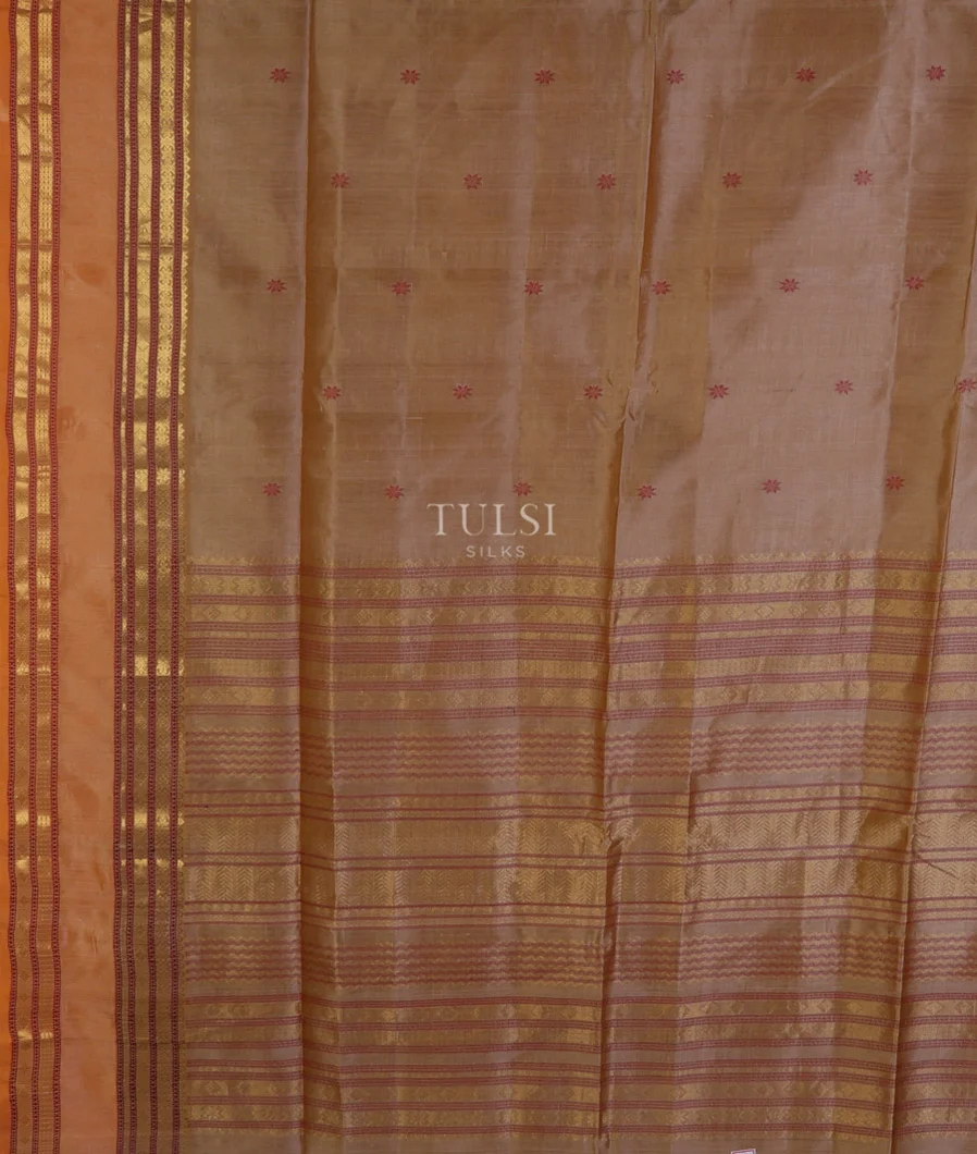 beige-silk-cotton-saree-t691629-691629-d