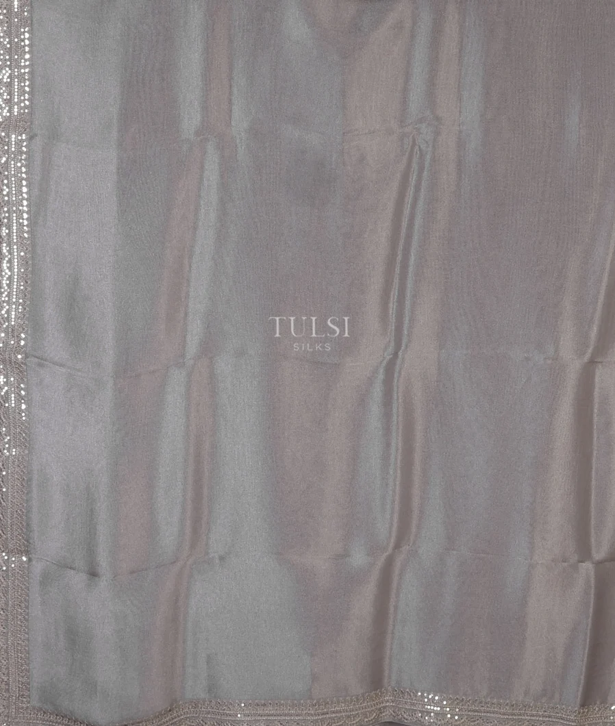 light-grey-kora-tissue-organza-embroidery-saree-t691264-t691264-d