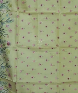 light-green-tussar-printed-saree-t691956-t691956-c