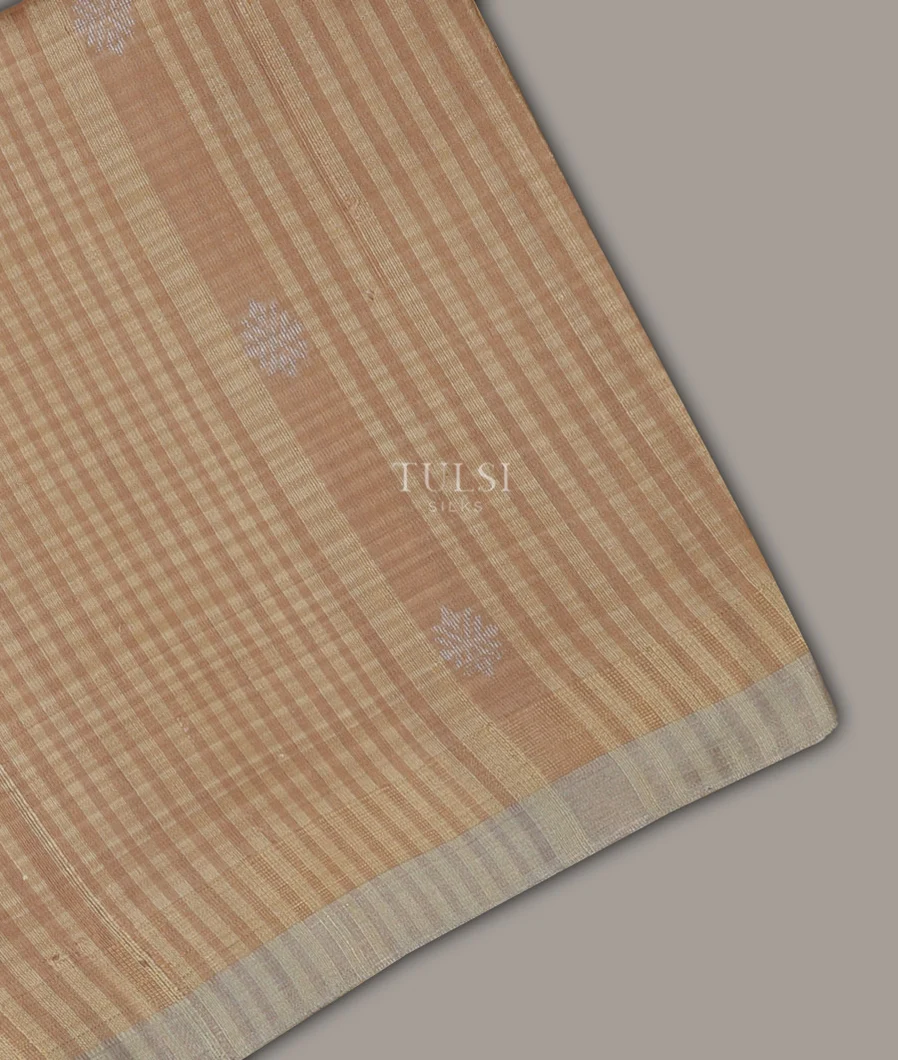 Beige Woven Raw Silk Saree T688836-image