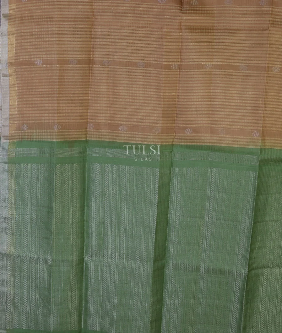 beige-woven-raw-silk-saree-t688836-t688836-d