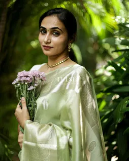 Light Green Tissue Banaras Organza Saree T684731-image