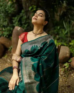 green-banaras-tussar-saree-t684217-t684217-b