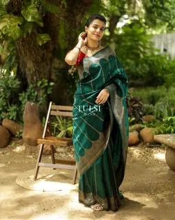 green-banaras-tussar-saree-t684217-t684217-i