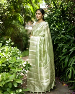 light-green-banaras-organza-saree-t684731-t684731-e