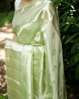 light-green-banaras-organza-saree-t684731-t684731-g