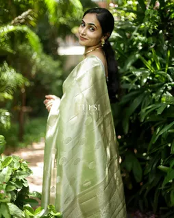 light-green-banaras-organza-saree-t684731-t684731-h