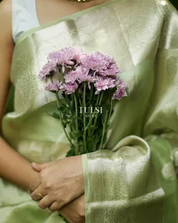 light-green-banaras-organza-saree-t684731-t684731-j