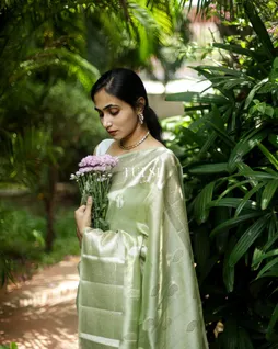 light-green-banaras-organza-saree-t684731-t684731-l