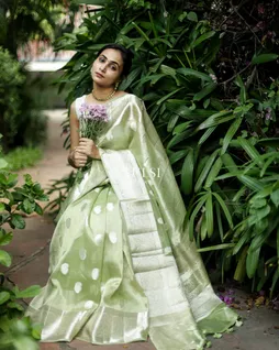 light-green-banaras-organza-saree-t684731-t684731-m