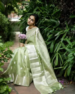 light-green-banaras-organza-saree-t684731-t684731-b