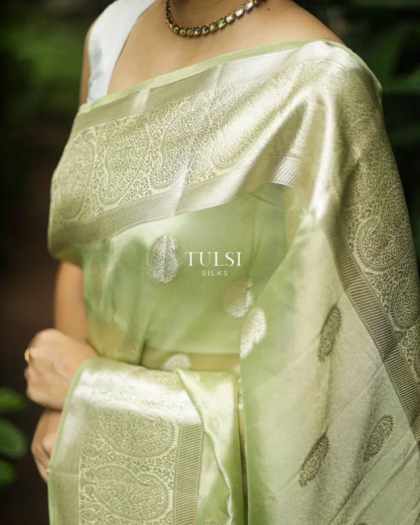 light-green-banaras-organza-saree-t684731-t684731-c