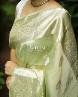 light-green-banaras-organza-saree-t684731-t684731-c