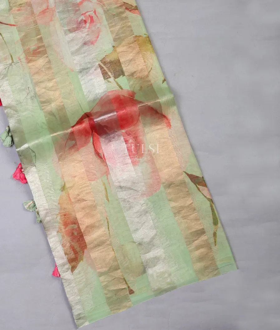 Green Kora Organza Printed Saree T689447-image