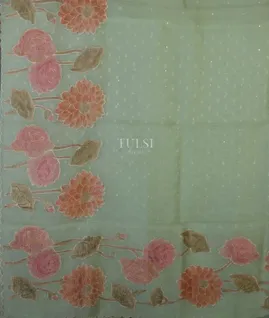 green-kora-organza-embroidery-saree-t689568-t689568-d